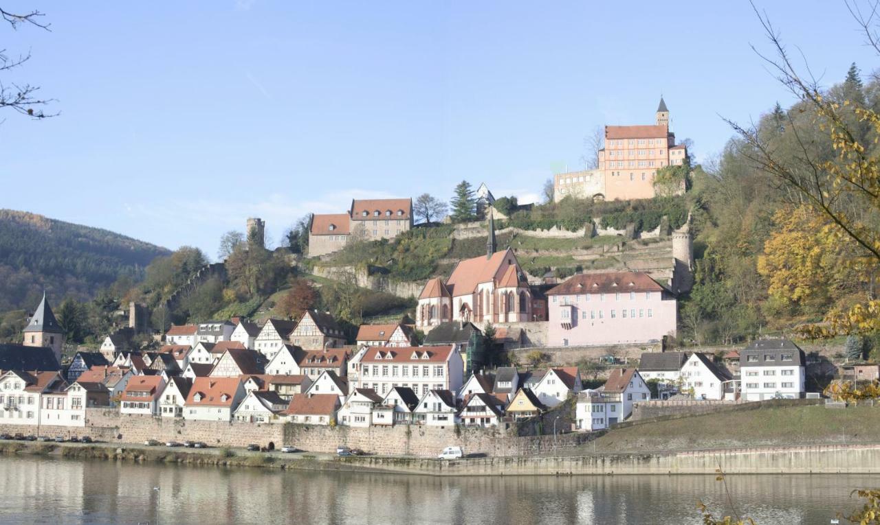 Ferienwohnung Christel Hirschhorn-Neckar Kültér fotó