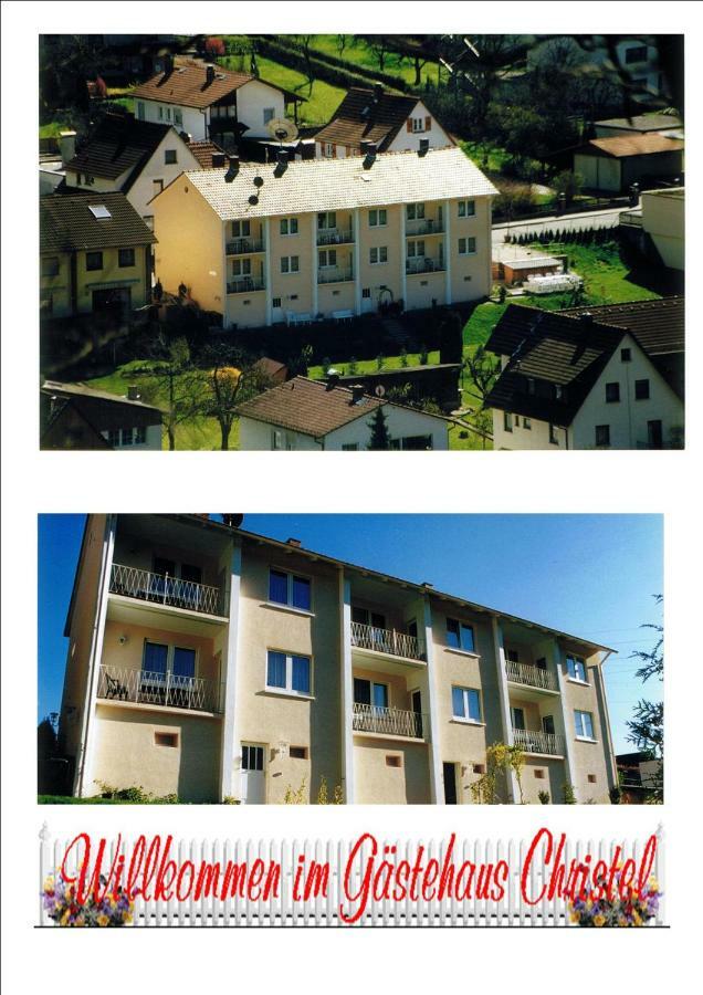 Ferienwohnung Christel Hirschhorn-Neckar Kültér fotó