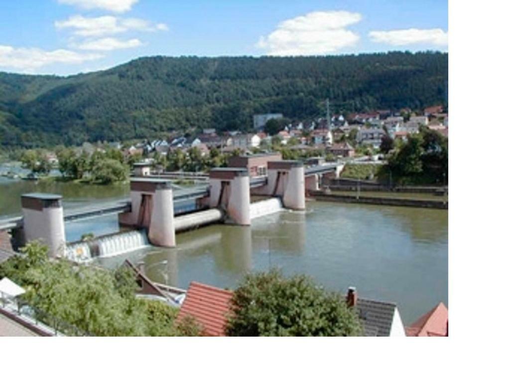 Ferienwohnung Christel Hirschhorn-Neckar Kültér fotó